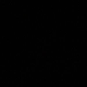 Meet your Posher, Summer